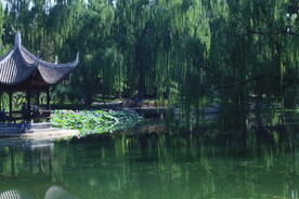 公园风景  