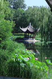 公园风景  