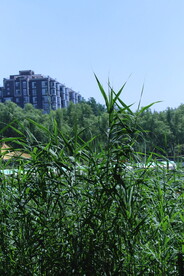 公园风景  