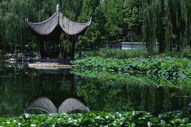 公园风景 