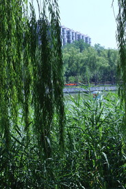 公园风景 