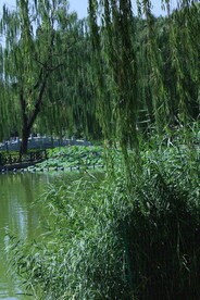 公园风景 