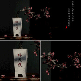 C4D模型 梅花