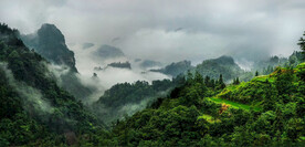 云雾山