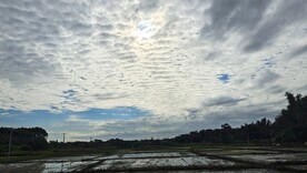 鱼鳞云
