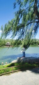 公园风景  