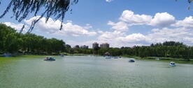 公园风景 