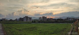 田野黄昏