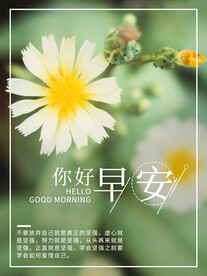 早安