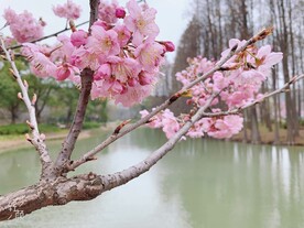 无锡鼋头渚