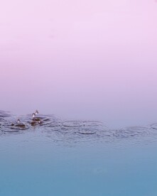 水滴
