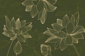线描荷花