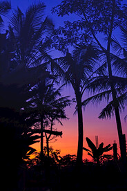 夜空