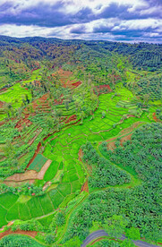 山林田地