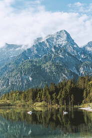 高山环翠