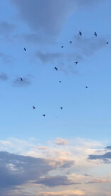 天空
