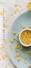 立秋