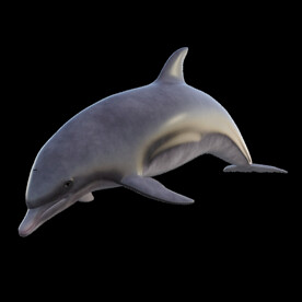 生物世界