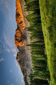 河山树木
