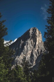 山 树林