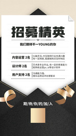 招聘精英