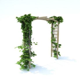 C4D模型 植物  