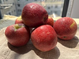 糖心大苹果