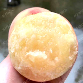 南汇水蜜桃