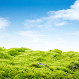 唯美蓝天草地海报背景