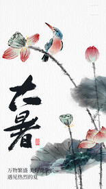 大暑海报