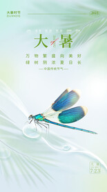 大暑海报