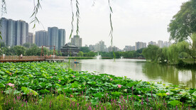 兴庆公园