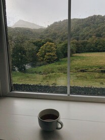 茶 