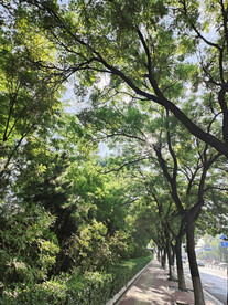 园林景观