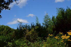 公园风景