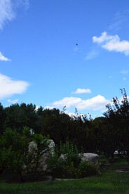 公园风景 