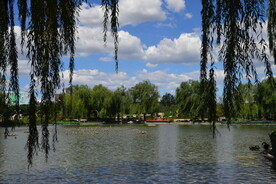 公园风景