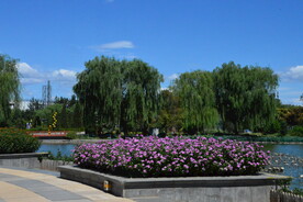 公园风景  