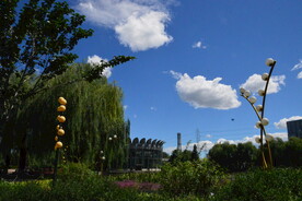 公园风景  