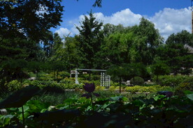 公园风景 