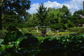 公园风景
