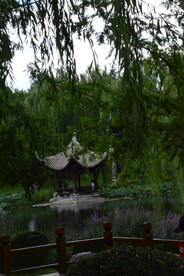 公园风景 