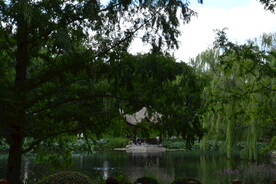 公园风景