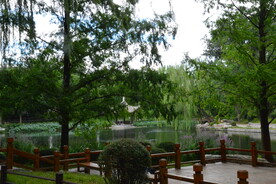 公园风景