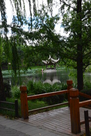 公园风景