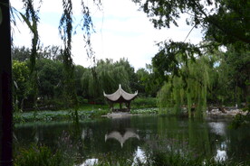 公园风景