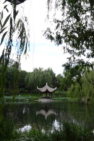 公园风景 
