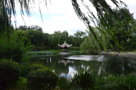 公园风景 