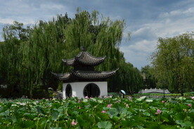 公园风景 
