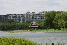 公园风景